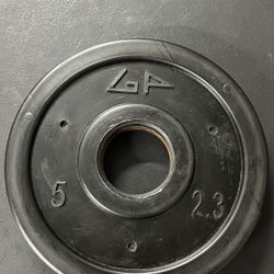 5 lb Weight Plates – Pair (2.3 kg) – Standard Size ($10 Per Pair)
