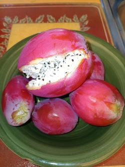 Peruvian Apple Cactus Fruit $1 Ea. To Eat or for Seeds