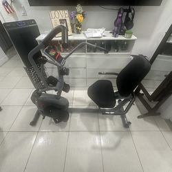 Sunny and fitness bike