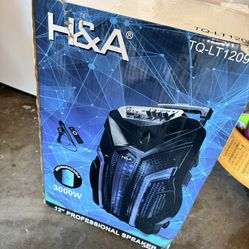 Professional Speaker