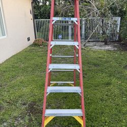 Werner 6 Ft. Ladder (300 LB) Max