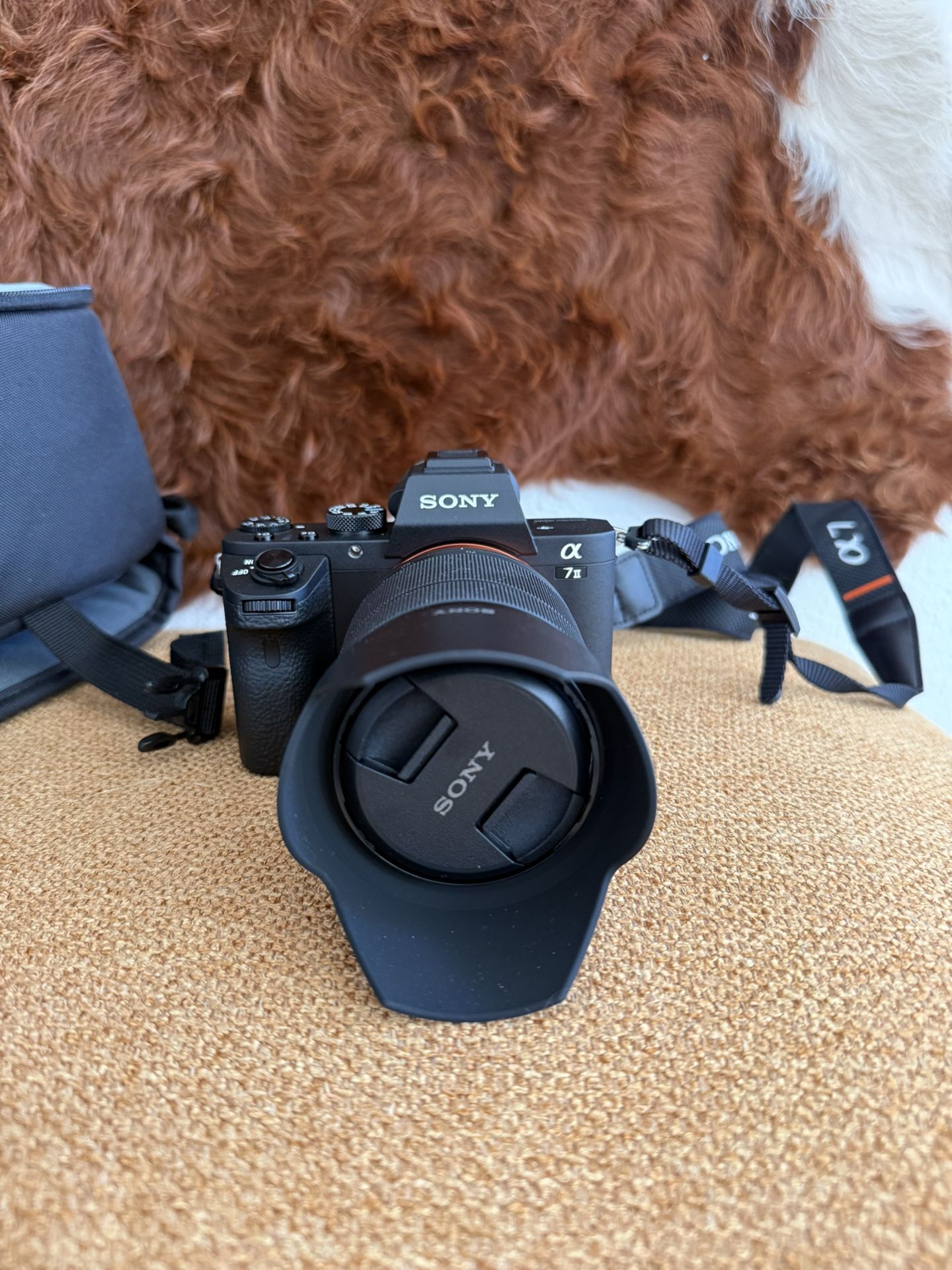 Sony Alpha 7ii