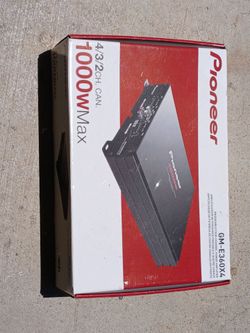 Pioneer 1000 W Max