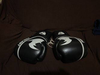 Pro Boxing Gloves