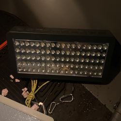 Led Grow Light