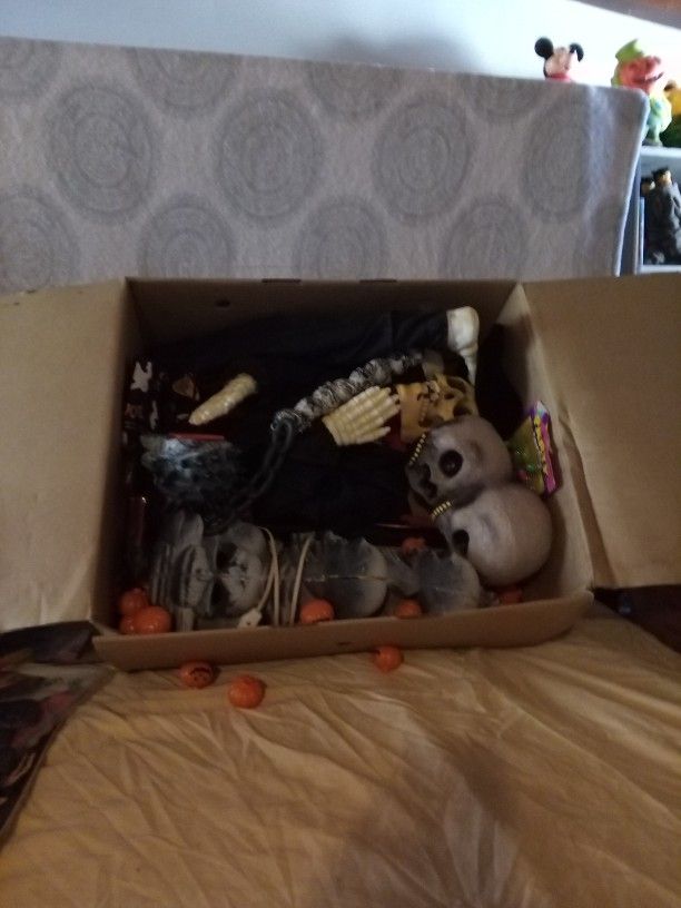 Box Of Halloween Things 