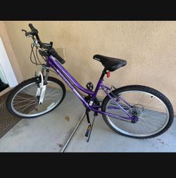 Roadmaster Mountain Bike 24'