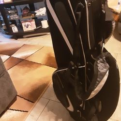 Maxfli Lite Weight Stand Bag.