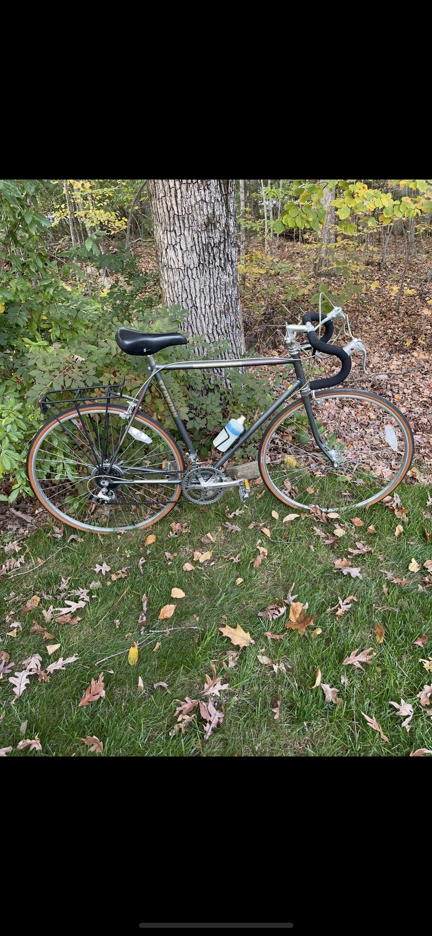 Schwinn World Sport Bicycle