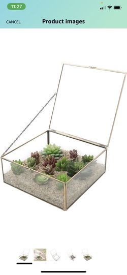 Vintage Brass And Glass Decorative Box Terrarium