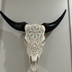Hand Carved Cow Skull