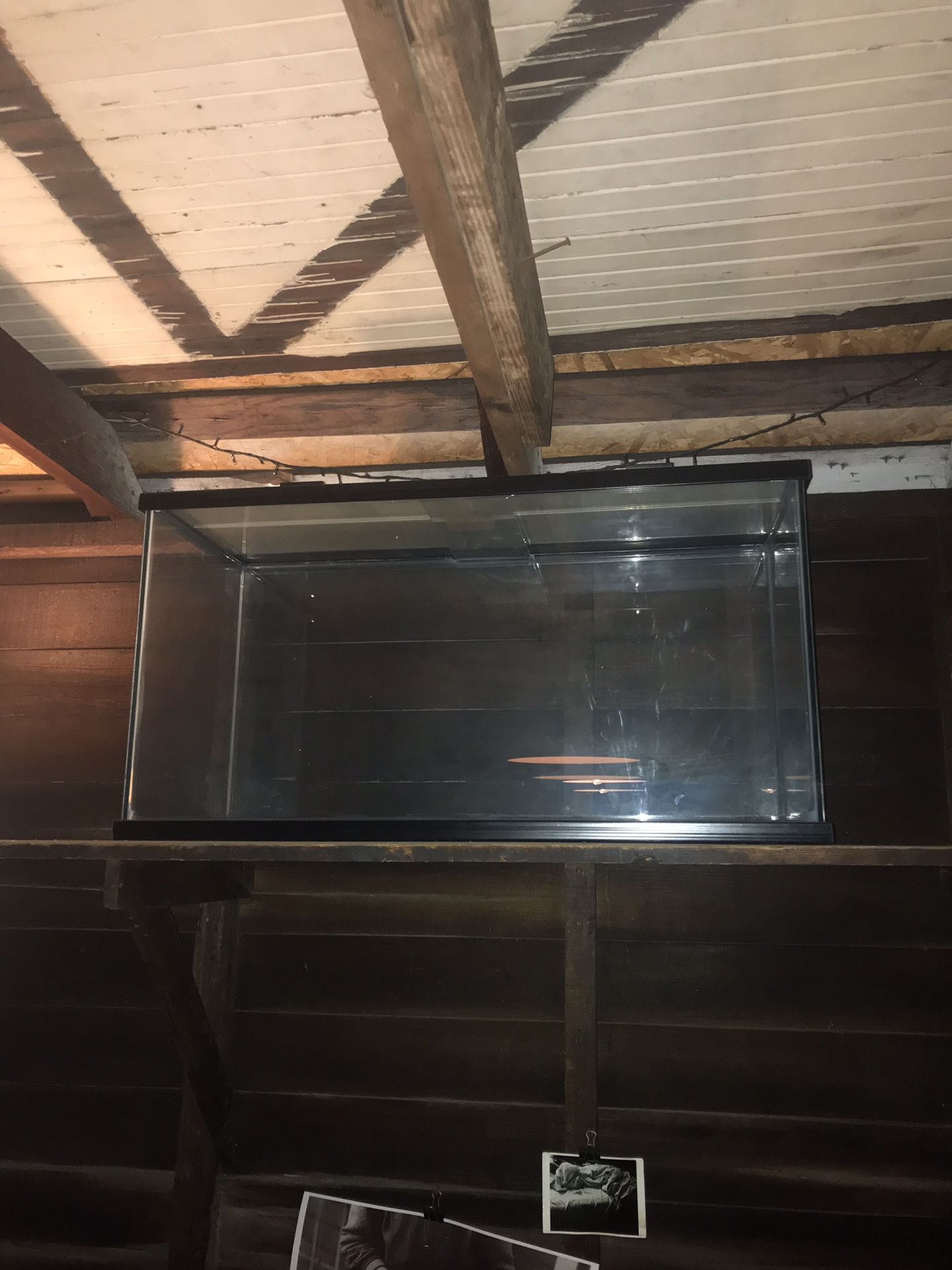 Brand New Fish Tank (never used)