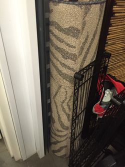 Zebra Rug