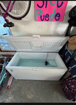 Chest Freezer Ice Bath