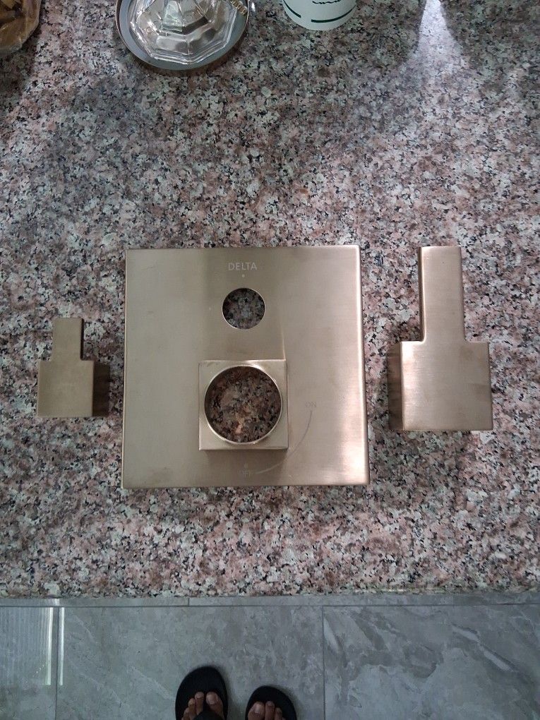 Delta Champagne Bronze Trim