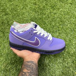 Nike SB Dunk Low  “ Purple Lobster”