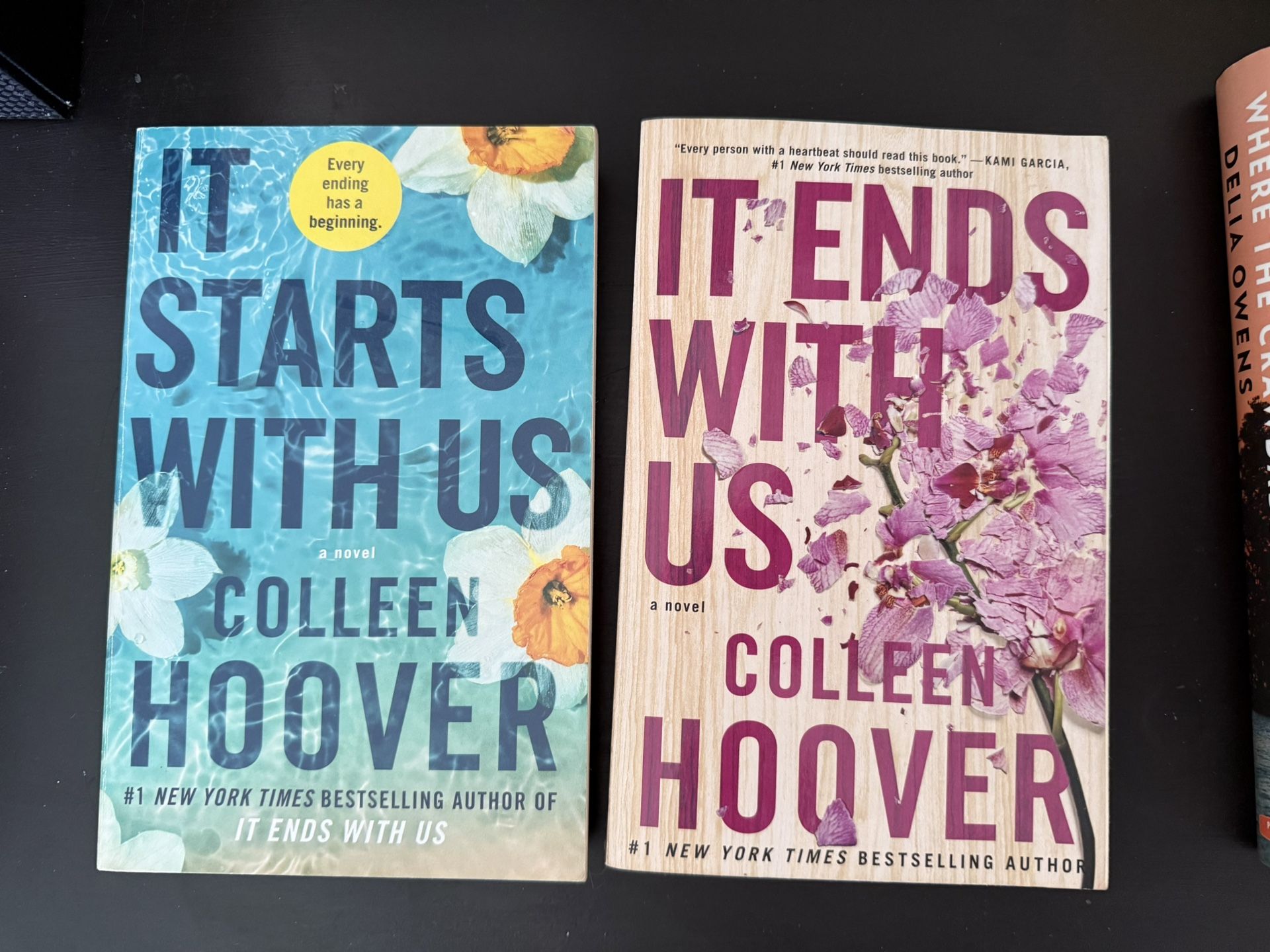 It Starts With Us And It Ends With Us