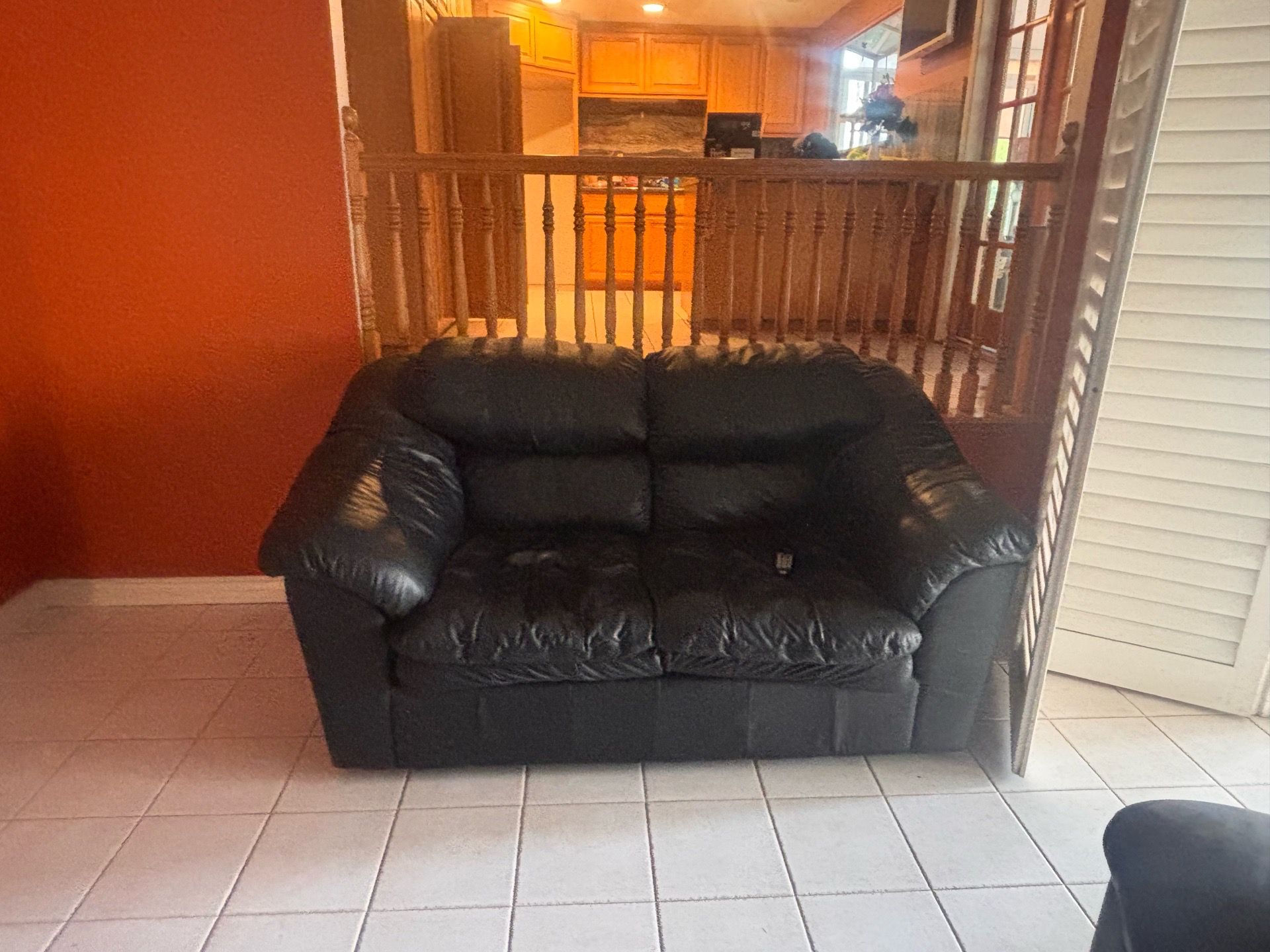 Leather Couches