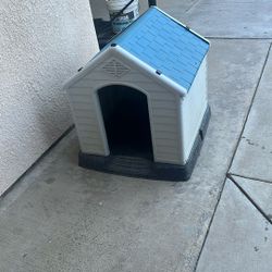Dog House 