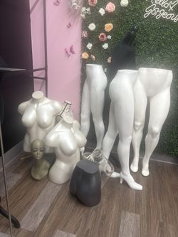 Mannequin lot