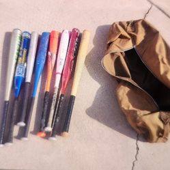 Lot Of Assorted Bats 32 31 30 Inches With Canvas Equipment Bag 