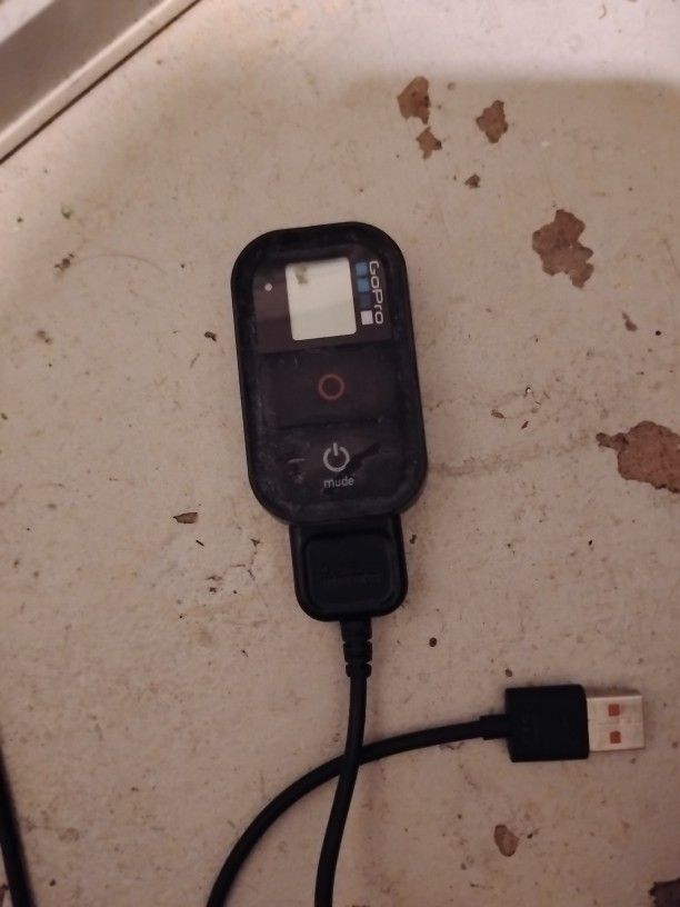 Go Pro Remote
