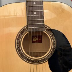 Rogue Dreadnaught Guitar  