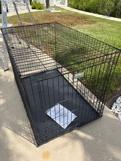 XL dog crate