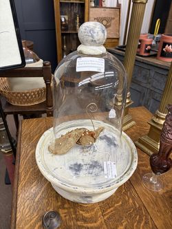 Architectural White Concrete Riser & Glass Dome Cloche