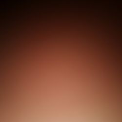 Miami Marlin's collection