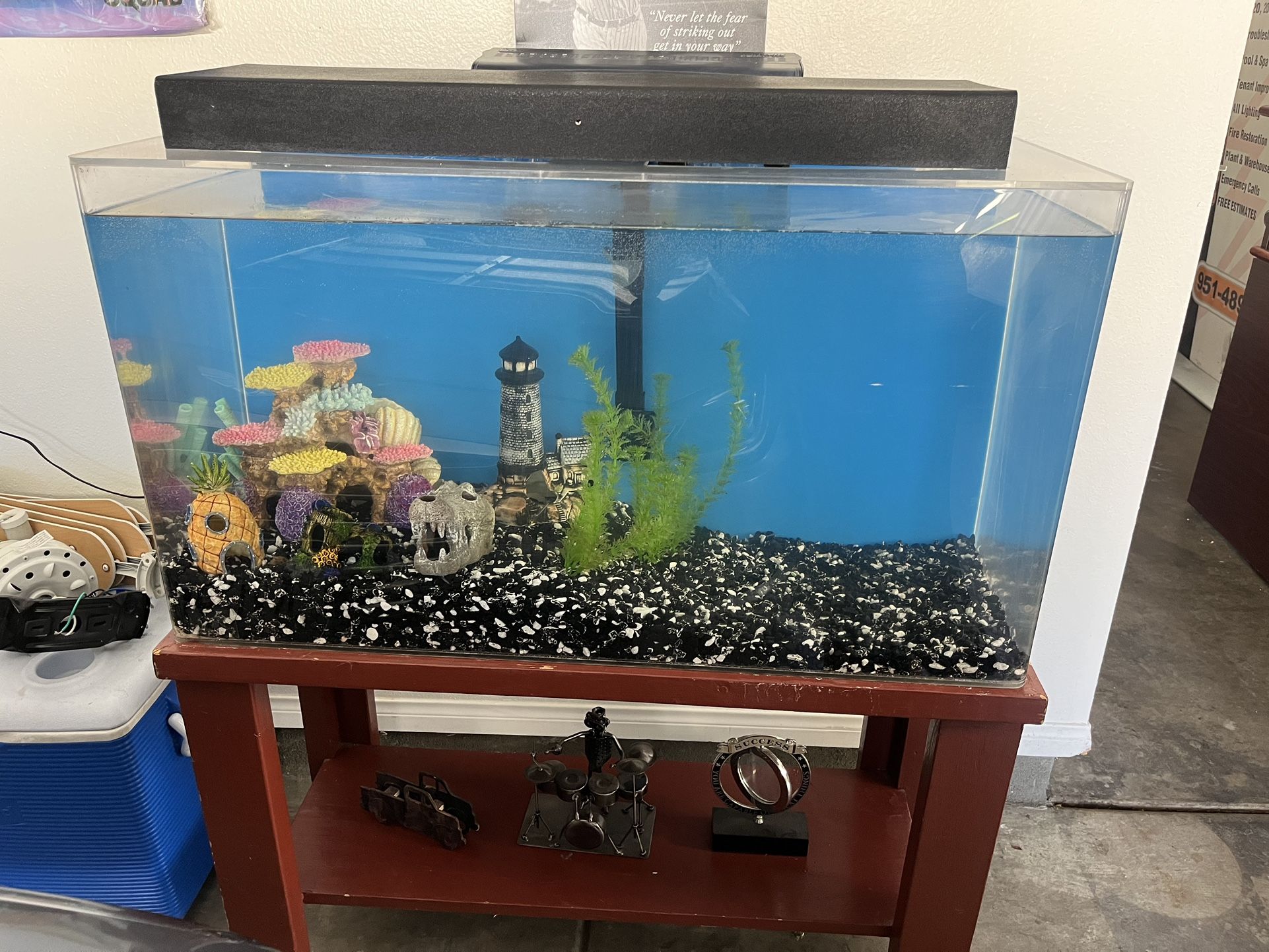 Fish Tank