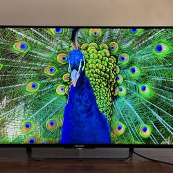 43” TV Sony Smart LED 4K  XBR-43X830C