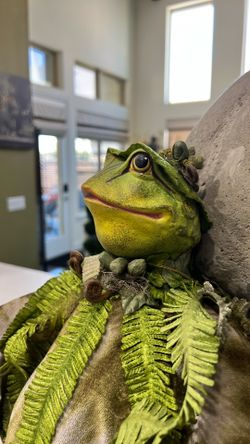 Gorgeous Decorative Frog
