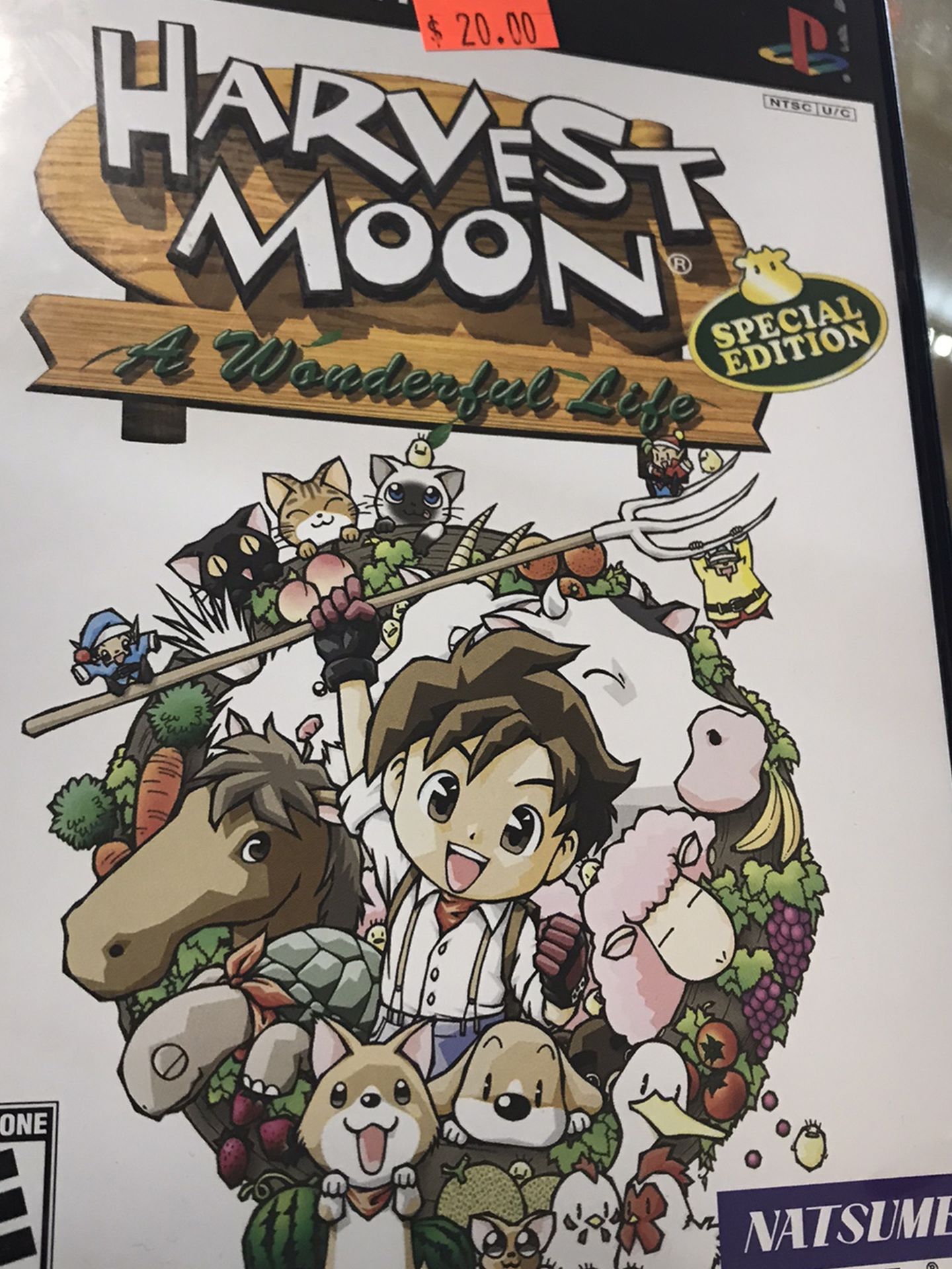 Harvest Moon A Wonderful Life Ps2 Complete