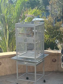Bird Cage