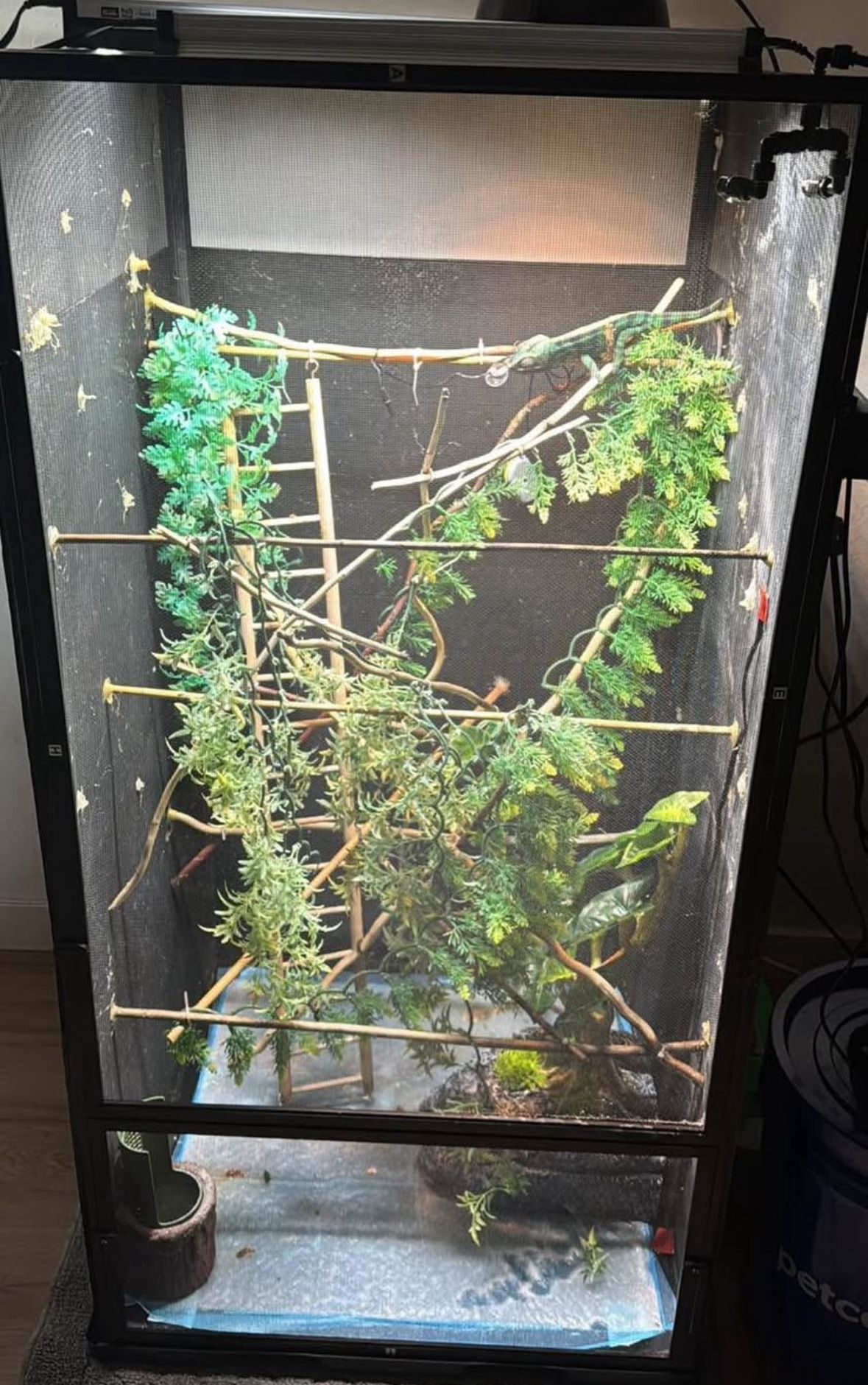 Reptile Enclosure Terrarium Tank