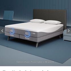 Sleep Number Bed 