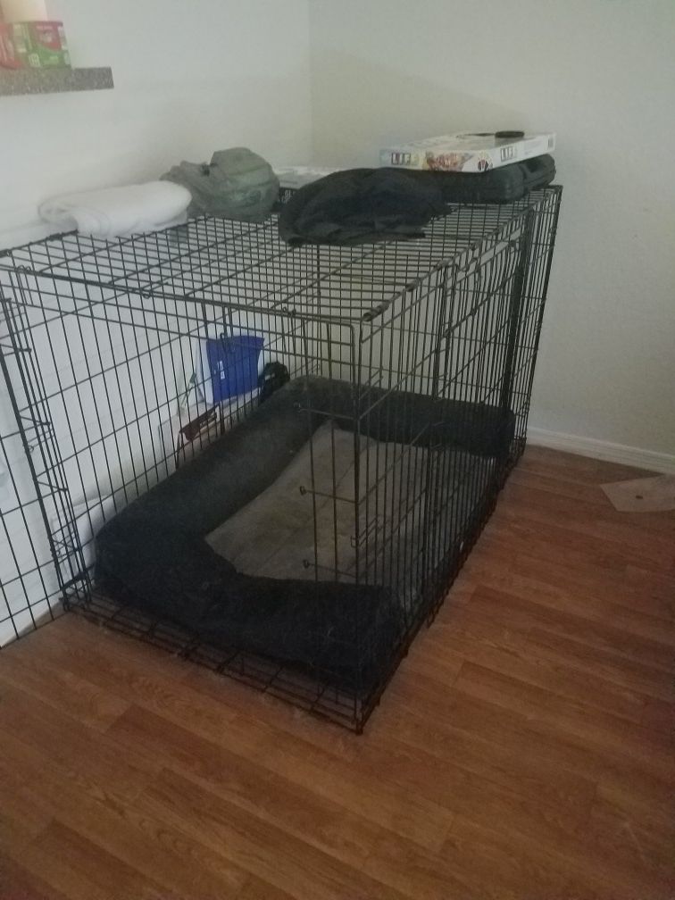 large dog cage