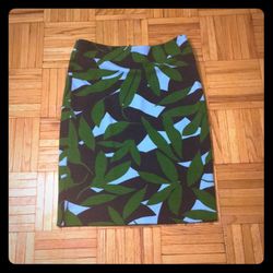 ANN TAYLOR SKIRT BRAND NEW