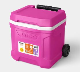 16qt pink igloo cooler fits 24 cans