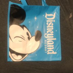 Disneyland Reusable Plastic Bags