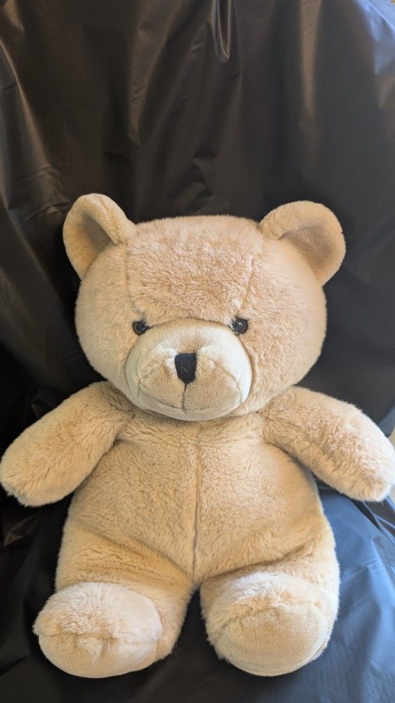 Teddy Bear