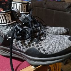 Men's Puma Ignite Evoknit