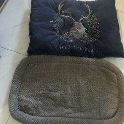 Dog Bed