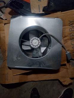 Fan