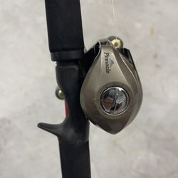 Pinnacle Platinum Plus LP100SE Bait Caster On 6’ Med Abu Garcia #4