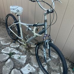 Sole  Ride 100 Trek bicycle