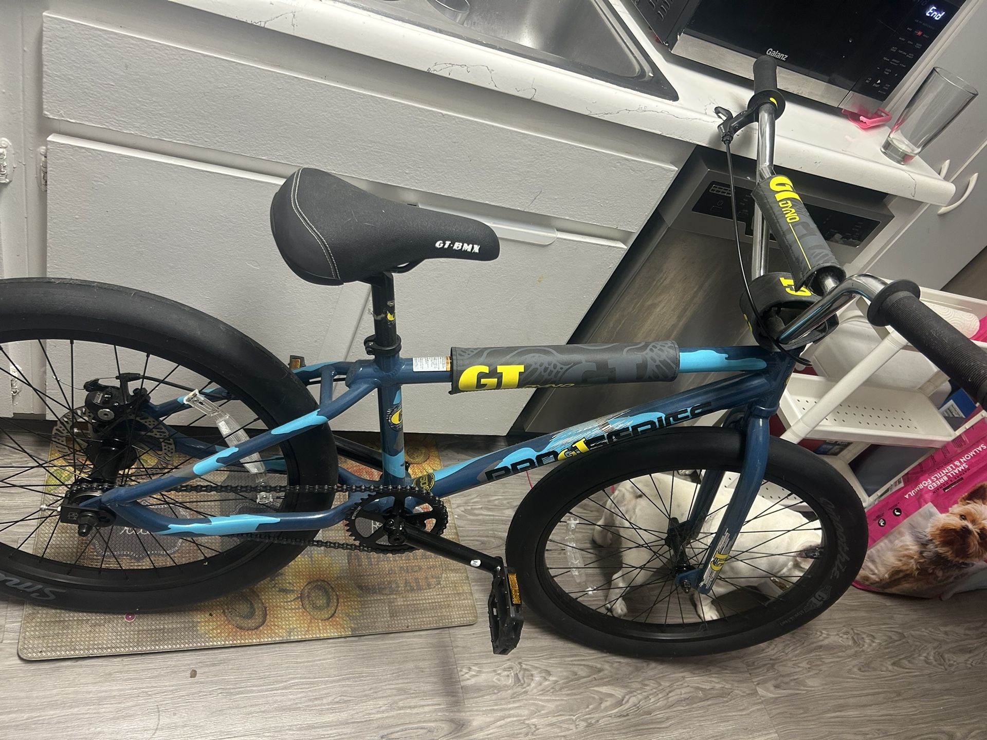GT Dyno Pro series BMX bike