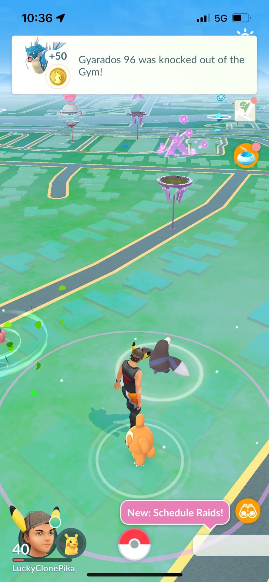 Armored Mewtwo 100% IV Lucky Clone Pikachu More