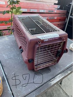 Excellent condition pets carriers beds and crates